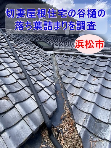 浜松市で雨樋の落ち葉詰まりを調査｜切妻屋根住宅の谷樋や排水口に竹の葉が堆積！？